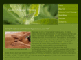 englewoodmassage.com