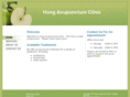 hongacupuncture.com