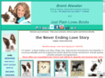 neverendinglovestory.com