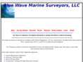 bluewavesurveyor.com