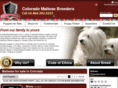 coloradomaltesebreeders.com