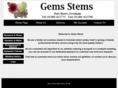 gemsstems.com