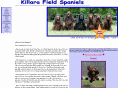 killaraspaniels.com