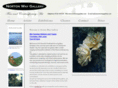 nortonwaygallery.com