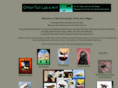 ottertailart.com
