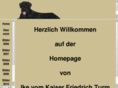 ike-vom-kaiser-friedrich-turm.com