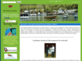 sidctt.com