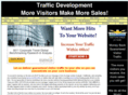 traffic-director.com
