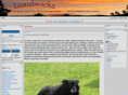lionsbrooke.com