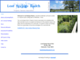 lostspringsranch.com