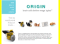 originweb.co.uk