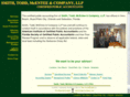 stmccpa.com