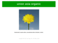 unionasia.com