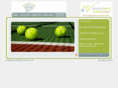 bouncebacktennis.com