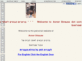 avnerstrauss.com
