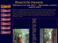 bluecirclehavana.com