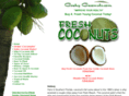 buycoconuts.com