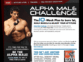alphamalechallengebook.com