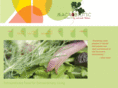 macrobiotichawaii.com