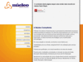 nucleoconsultoria.com