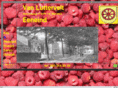 vanluttervelt.net