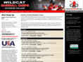 davidsonbaseballcamps.com