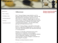 strategylounge.com