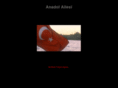 anadol.info