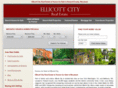 ellicottcity-realestate.com