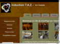 inductiontaz.com