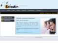 salestin.com