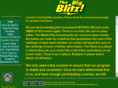 thebigblitz.com