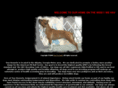 truekennels.com