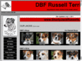 americanhuntterriers.com