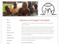 bujagalitrust.org