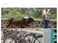 eryngaul.com