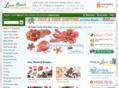 lima-bead.com