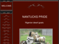 nantuckspride.com