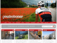 puntotours.com