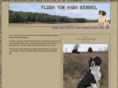 flushemhigh.com