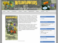 sangabrielwildflowers.com