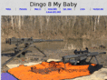 dingo8mybaby.com
