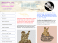 jesuspin.com
