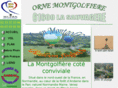 orne-montgolfiere.com