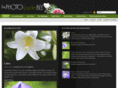 photogardenbee.com