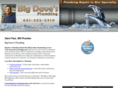 bigdavesplumbing.com