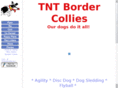 tntbordercollies.com