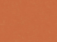 terrafirmapacific.com