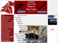 chatfieldswimdive.org