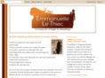 emmanuellethiec.com